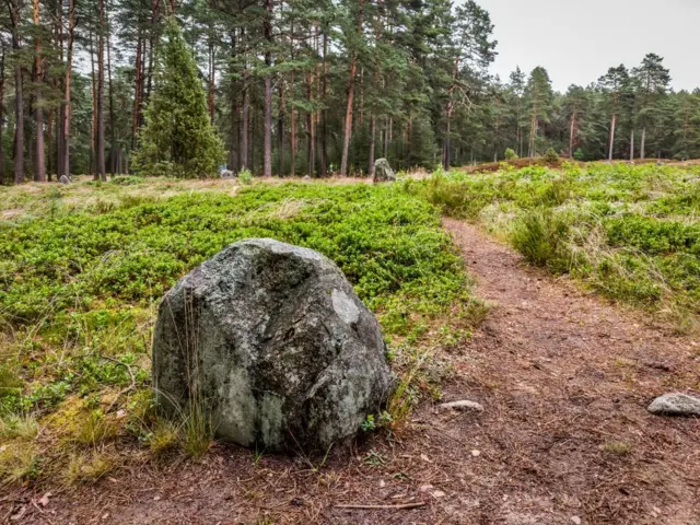 మృతదేహం, కుళ్లిపోవడం, మతం, సైన్స్