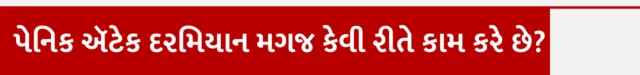 પેનિક ઍટેક, હૃદયરોગ, હેલ્થ, બીબીસી ગુજરાતી, ગુજરાત
