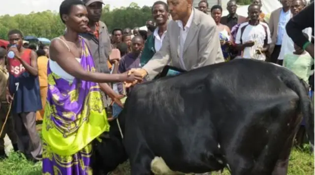 ગરીબ પરિવારનાં વડાંને ગાયની સોંપણી