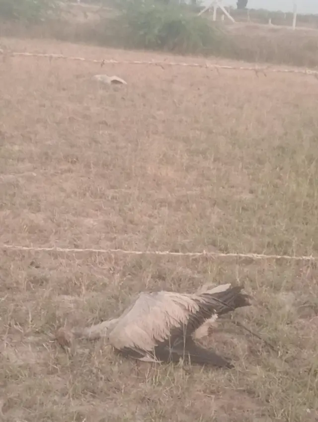 મોરબી, કરકરા, બીબીસી ગુજરાતી