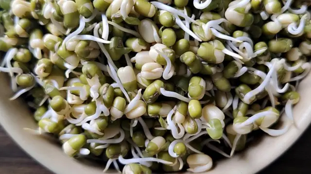 मोड आलेली कडधान्यं 