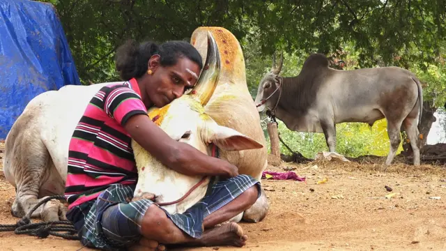 காளையுடன் சிந்தாமணி