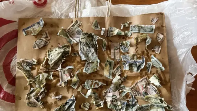 कुत्र्यानं फाडलेल्या नोटा 