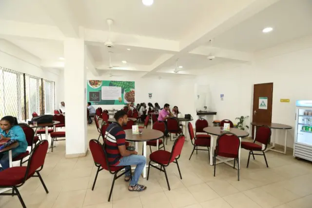  සතියේ දින 7 පුරාවට ම ක්‍රියාත්මක මෙම අවන්හල විවෘත වන්නේ උදෑසන 10:00ට ය. එතැන් සිට රාත්‍රී 8:00 දක්වා ම එය විවෘතව පවතී. 