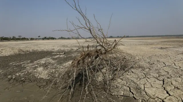 মাটির শুষ্কতা।