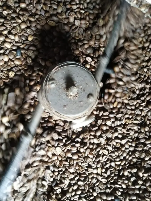 అరకు కాఫీ 