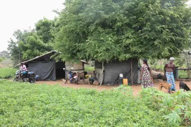 'අභය භූමියක් ඇතුළේ පුද්ගලික ඉඩම් තියෙන්න පුළුවන්. නමුත් ඒවායේ ගොවිතැන් කිරීම, ගෙයක් හදා ගැනීම, පාරම්පරිකව කරගෙන යන කටයුතු දැනටමත් කරගෙන යනවා. ඒකට පනතේ හත්වැනි වගන්තියයට යටත්ව අවසර දෙනවා. එතකොට මිනිසුන්ගේ ක්‍රියාකාරීත්වය නිසා අභය භූමි බෙදලා දෙන්න යනවා කියන එක කිසිසේත් පිළිගන්න පුළුවන් කාරණයක් නෙමෙයි. මෙතනින් පේනවා ඊට වැඩිය එහා ගිය යම්කිසි දේකට මේවා දෙන්න යනවා කියලා මිනිස්සුන්ට මුවා වෙලා.''