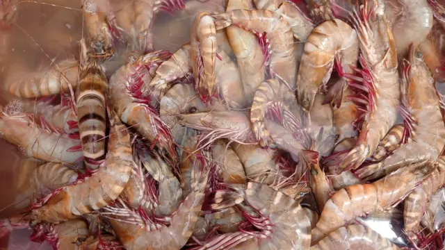 రొయ్యలు