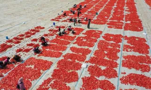 மிக பதப்படுத்தப்பட்ட உணவுகளால் என்ன தீமை