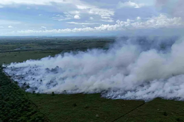 Foto udara kebakaran hutan dan lahan (karhutla) di kawasan lahan gambut Desa Deuah, Kecamatan Samatiga, Aceh Barat, Aceh, Minggu (2/8/2026). BPBD Kabupaten Aceh Barat menyatakan kebakaran hutan dan lahan (karhutla) yang terjadi sejak dua pekan terakhir terus meluas dari 14 hektar menjadi 19 hektar yang dipengaruhi cuaca panas ekstrem dan tiupan angin kencang sehingga mempercepat penguapan kadar air pada vegetasi. 
