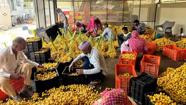 ਖਜੂਰ
