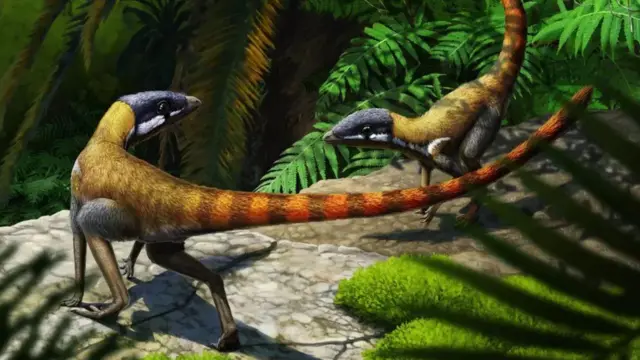 Scleromochlus