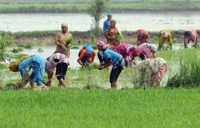 નૅશનલ ઍગ્રિકલ્ચર કોડ, ભારતીય માનક બ્યૂરો, રાષ્ટ્રીય કૃષિ સંહિતા, ભારતના ખેડૂતો, ખેતી