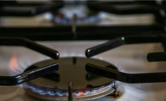 গ্যাসের চুলা