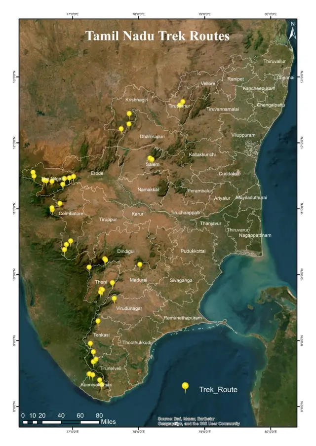 வனத்துறை காடு டிரெக்கிங்