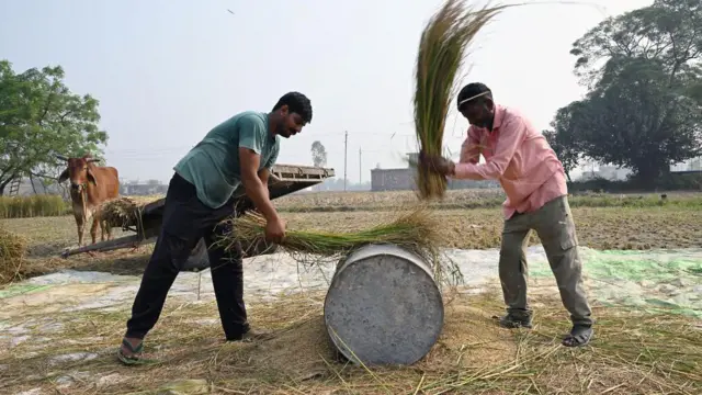 ਸੰਕੇਤਕ ਤਸਵੀਰ