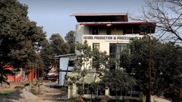 जडिबुटी कारखाना