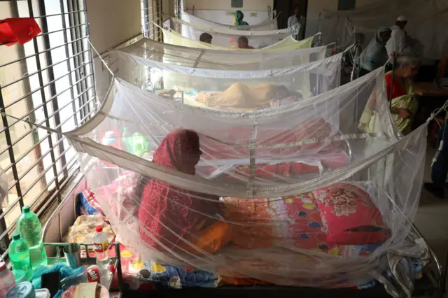 ডেঙ্গু রোগী