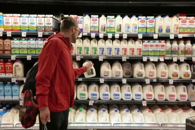 அமெரிக்கா, இந்தியச் சந்தை, பால் பொருட்கள், அசைவ பால் 