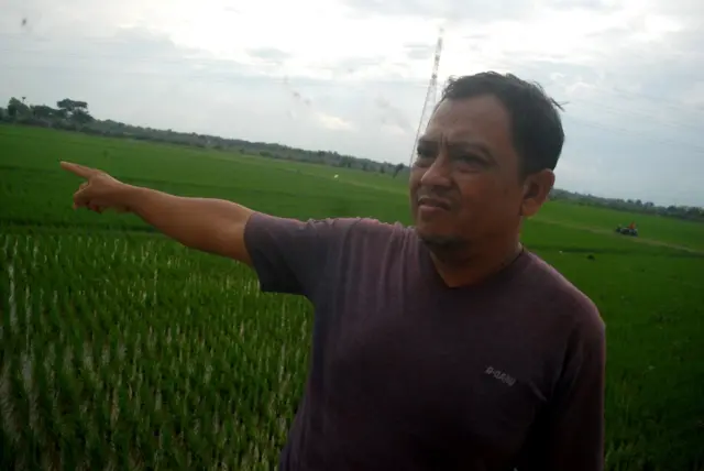 Toni Kartika Hadi, petani padi di Grobogan, Jawa Tengah.