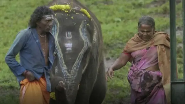 బొమ్మన్, బెల్లీ జంట