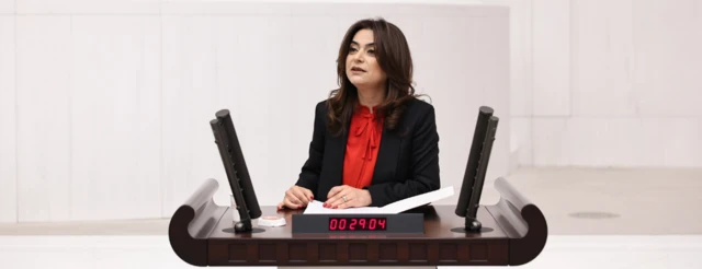 DEM Parti Grup Başkanvekili Gülistan Kılıç Koçyiğit