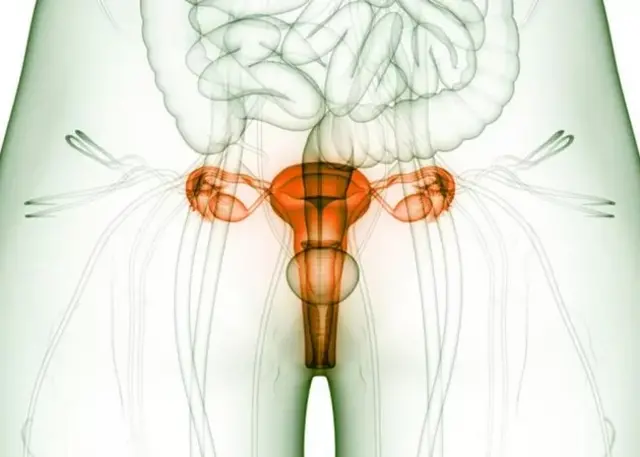 Echographie par ordinateur