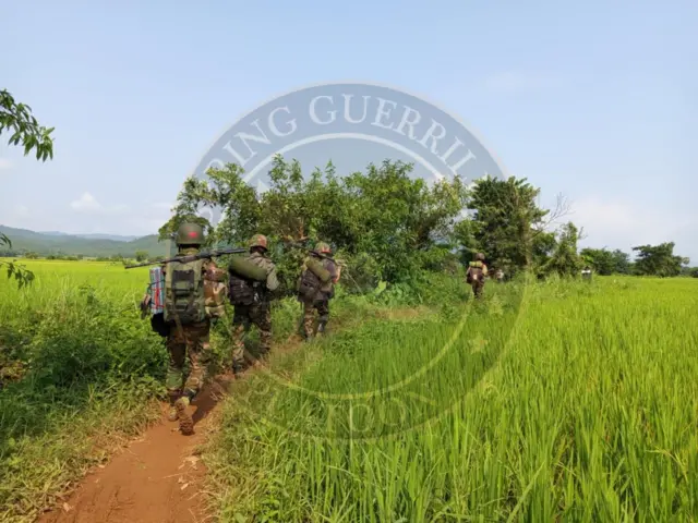 ဒေသကာကွယ်ရေးတပ် Spring Guerrilla Platoon အဖွဲ့ 