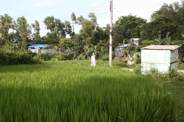 জঙ্গল সলিমপুরে্র মেঠোপথ ধরে হেঁটে যাচ্ছেন এক লোক 