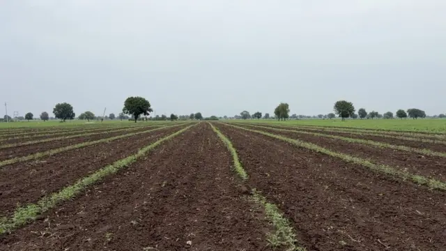 शेती
