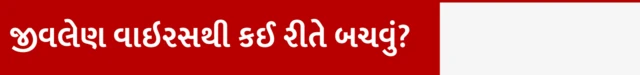 જીવલેણ વાઇરસથી કઈ રીતે બચવું?