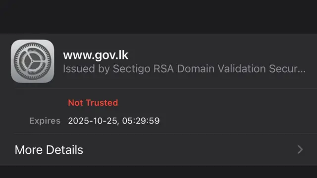  ඩිජිටල් ආර්ථික අමාත්‍යාංශයේ ලේකම් වරුණ ශ්‍රී ධනපාල පැවසුවේ එවැනි තත්ත්වයකට හේතුවී ඇත්තේ ලංකා ගවර්මන්ට් ක්ලවුඩ් (Lanka Government Cloud) සේවාවේ ඇතිවූ අක්‍රියතාවයක් බවය.