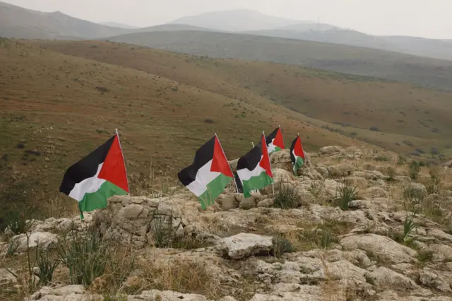 أعلام فلسطينية مرفوعة في وادي الأردن في الضفة الغربية. المنطقة مليئة بأعشاب صفراء وصخور. الصورة التقطت نهاراً