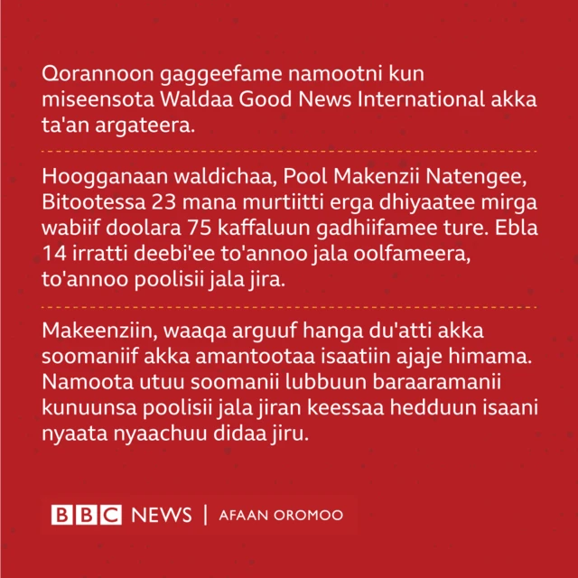 Dursaan garee amantaa kanaa seeratti dhiyaachuu