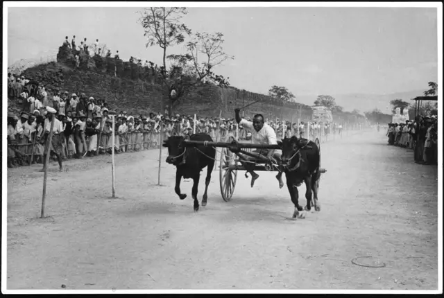 စစ်ပြီးစ မန္တလေးမြို့ရိုးဘေးက နွားလှည်းပြိုင်ပွဲ