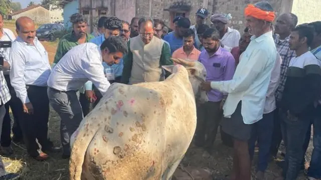 தோல் அம்மை நோய்