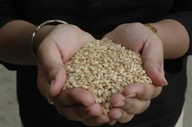 ਬੀਆਈਐਸ ਅਕਤੂਬਰ 2025 ਤੱਕ ਕੋਡ ਦਾ ਖਰੜਾ ਤਿਆਰ ਕਰਨਗੇ