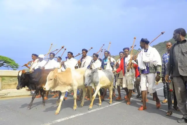 Abbootii Gadaa Koonsoo