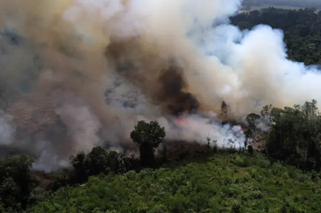 Foto udara asap membumbung tinggi dari kebakaran hutan dan lahan gambut di Kabupaten Ketapang, Kalimantan Barat, Jumat (31/7/2026). BPBD Provinsi Kalimantan Barat bersama instansi terkait melaksanakan patroli udara menggunakan helikopter Bell 206L4 milik BNPB beregistrasi PK-FBI untuk memantau titik api di Kabupaten Kubu Raya, Kayong Utara, dan Ketapang, yang terpantau masih terdapat sejumlah lokasi kebakaran hutan dan lahan. 