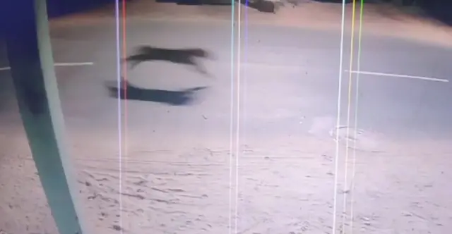 கடற்கரை மாவட்டமான மயிலாடுதுறைக்கு சிறுத்தை வந்தது எப்படி? சிறுத்தை எங்கே?