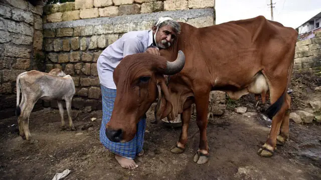 ઉનાકાંડનો એક દાયકો : અધિકારો પ્રત્યે જાગૃતિ વધી, પરંતુ દલિતો સામેના અત્યાચારો ઘટ્યા છે ખરાં? ગુજરાત બીબીસી ગુજરાતી ન્યૂઝ સમાચાર