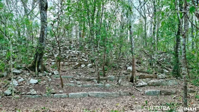 Floresta com degraus localizados por arqueólogos