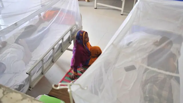 ডেঙ্গু টেস্ট: এনএস১, আইজিএম, আইজিজি- জ্বর হলে কখন কী ধরণের টেস্ট করা হয় - BBC News বাংলা