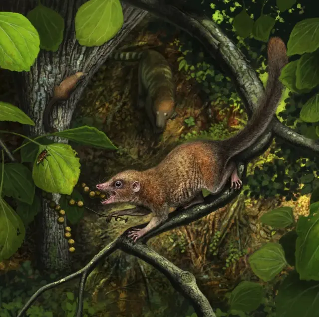 পার্গাটোরিয়াস