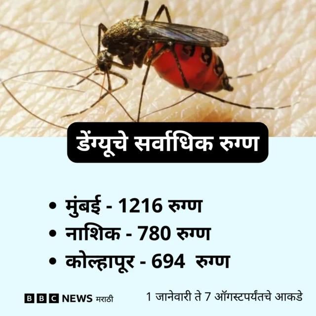 डेंग्यूच्या रुग्णांची संख्या 