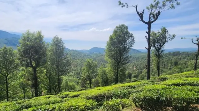 வால்பாறை