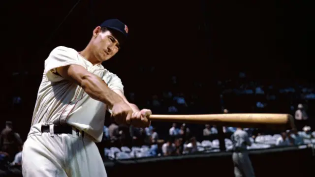 Ted Williams 