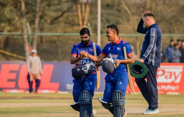 क्रिकेट 