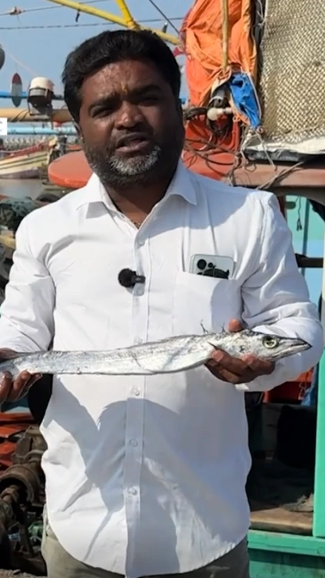 ગુજરાતની માછલીઓ