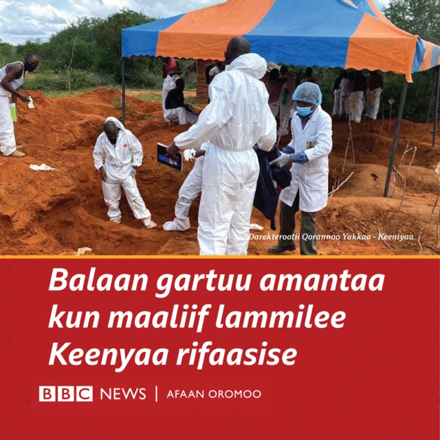 Gaaffii namoonni balaa amantaan kun qabu gaafatan